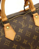 Louis Vuitton Speedy 40