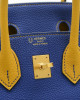 Hermes Birkin 25