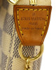 Louis Vuitton Mini Pochette Accessoires