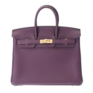 Hermes Birkin 25 Purple Bag