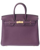 Hermes Birkin 25 Purple Bag