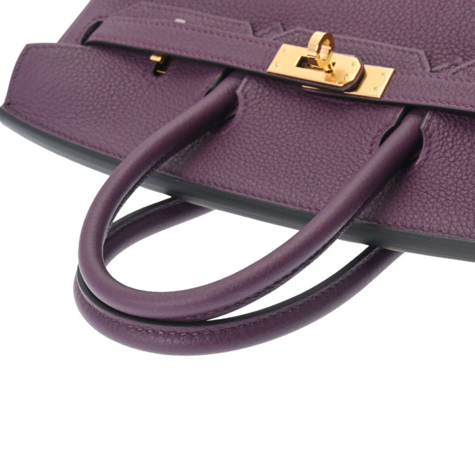 Hermes Birkin 25 Purple Bag