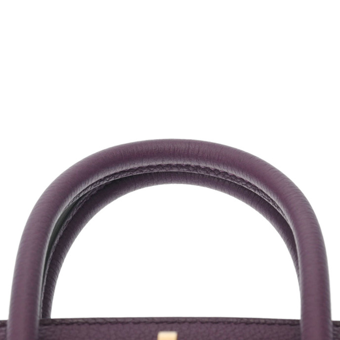 Hermes Birkin 25 Purple Bag