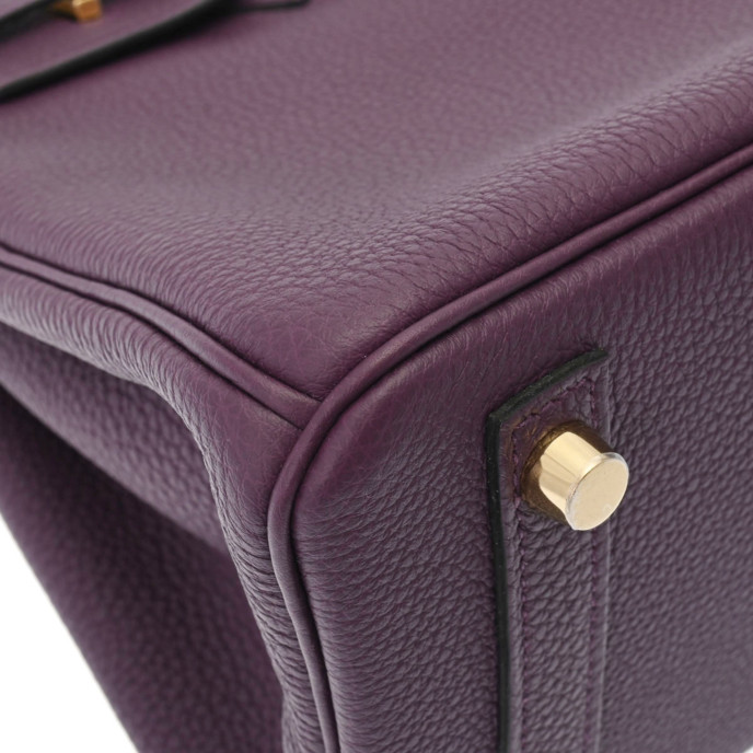 Hermes Birkin 25 Purple Bag