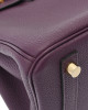 Hermes Birkin 25 Purple Bag