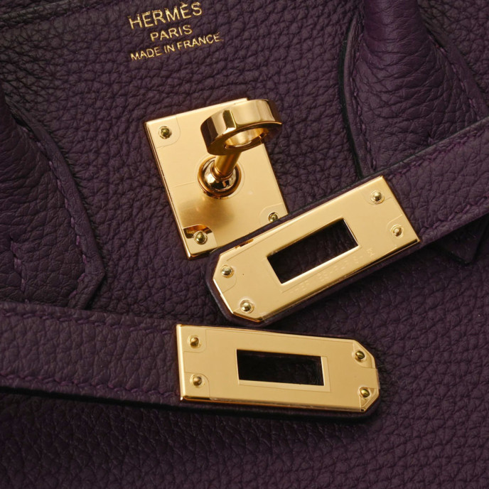 Hermes Birkin 25 Purple Bag