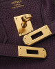 Hermes Birkin 25 Purple Bag