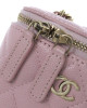 Chanel Vanity Pink Bag