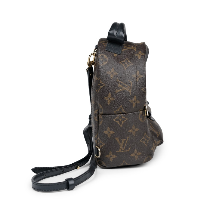 Louis Vuitton Palm Springs Mini Monogram Backpack 