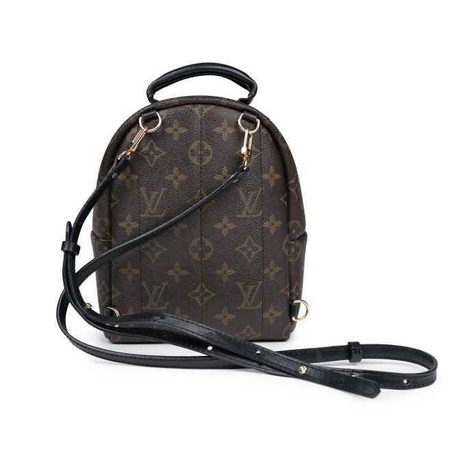 Louis Vuitton Palm Springs Mini Monogram Backpack 