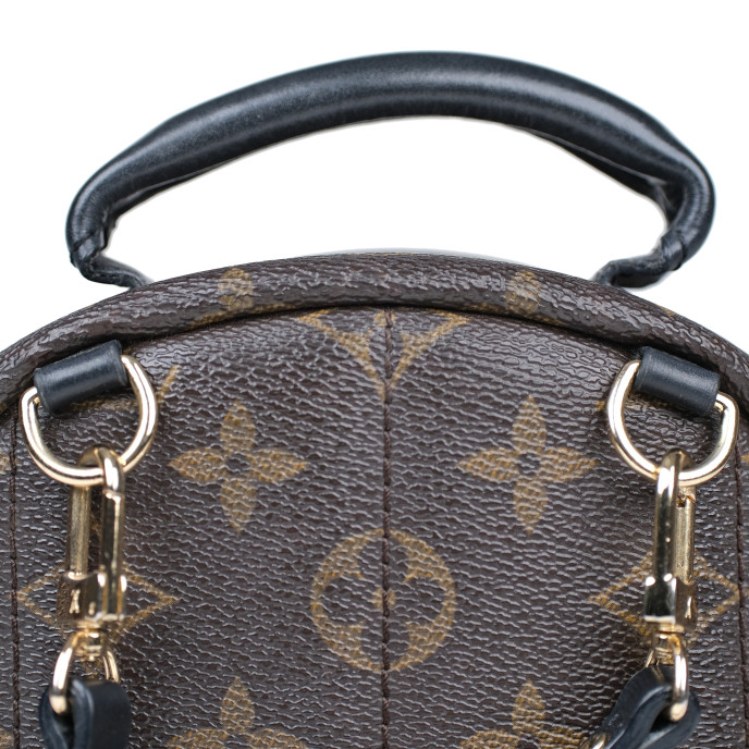 Louis Vuitton Palm Springs Mini Monogram Backpack 