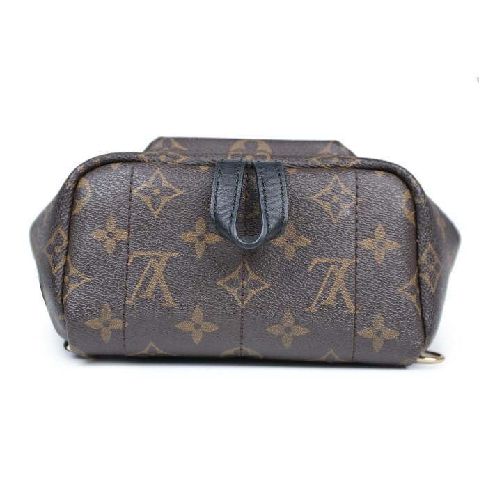 Louis Vuitton Palm Springs Mini Monogram Backpack 