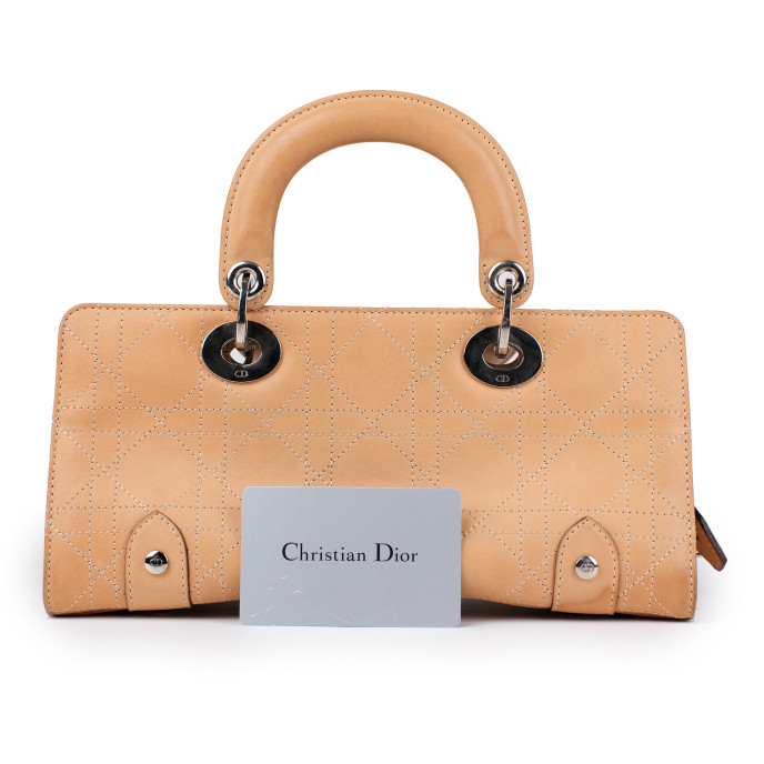 Christian Dior Nude Mini D-Joy Bag