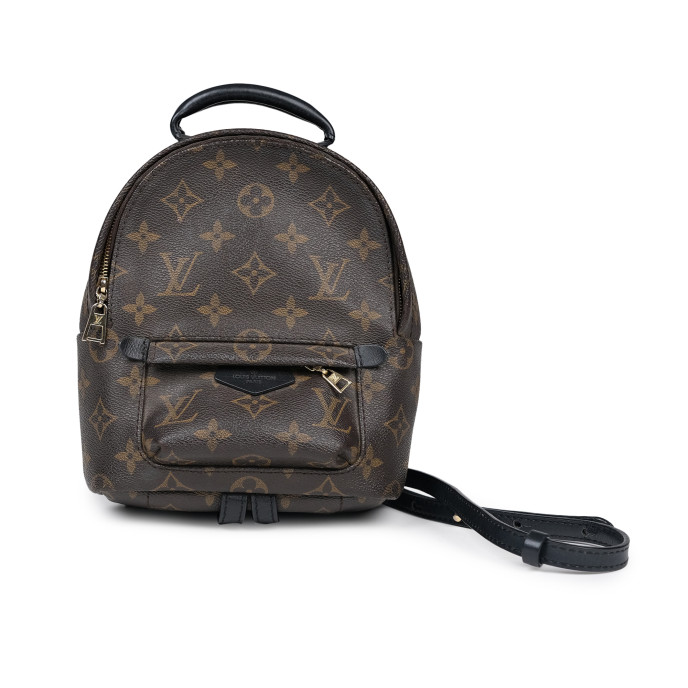 Louis Vuitton Palm Springs Mini Monogram Backpack 